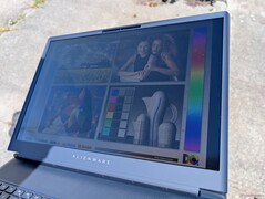 Açık havada güneş ışığı altında