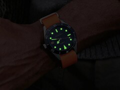Bespoke Post x Timex Heritage 66 artık resmiyet kazandı.