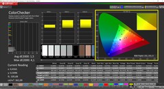 CalMAN ColorChecker (profil: sRGB, hedef renk uzayı: sRGB)