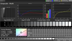 CalMAN gri skalaları