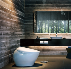 Bir Japon tuvalet üreticisi devam eden yapay zeka patlamasından büyük fayda sağlayabilir