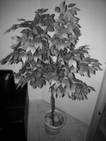 Gece görüş kamerası