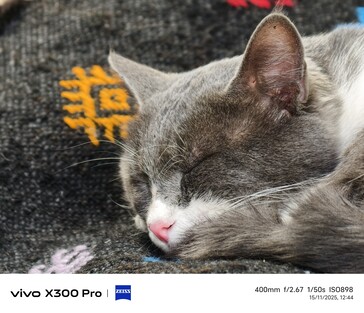 Vivo X300 Pro 400 mm tele dönüştürücü ile.