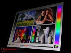 OLED panel...