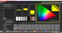 CalMAN ColorChecker (profil: Ekran P3, hedef renk uzayı P3)