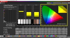 CalMAN ColorChecker (profil: P3, hedef renk uzayı: P3)