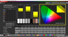 CalMAN ColorChecker (profil: Native, hedef renk uzayı: P3)