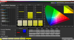 CalMAN Saturation Sweeps (target color space P3)