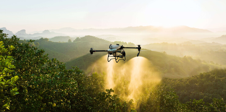 DJI'ın tarım dronlarından biri iş başında