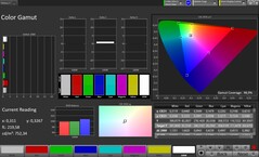 CalMAN sRGB renk uzayı
