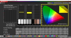 CalMAN ColorChecker (profil: Vivid, hedef renk uzayı: P3)