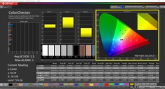 CalMAN ColorChecker kalibre edildi (hedef renk alanı: P3)