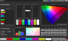 Renk Gamı (Profil: Original Pro, Hedef renk alanı: P3)