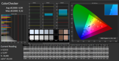 CalMAN ColorChecker - pre-calibration