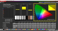 CalMAN ColorChecker kalibre edildi