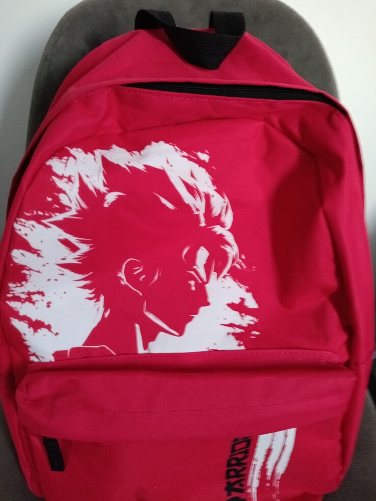 Örnek sırt çantası çekimi. (Resim kaynağı: Sergey Tarasov - Notebookcheck)