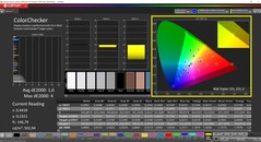 CalMAN ColorChecker (Profil: Yerel, Hedef Renk Alanı: P3)