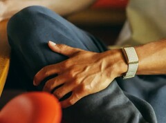 Garmin yakında burada gösterilen Polar Loop'a bir alternatif sunabilir.