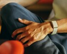 Garmin yakında burada gösterilen Polar Loop'a bir alternatif sunabilir.