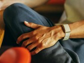Garmin yakında burada gösterilen Polar Loop'a bir alternatif sunabilir.