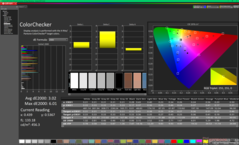 Kalibrasyon öncesi ColorChecker (P3)