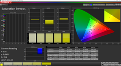 CalMAN saturation sweeps (calibrated)