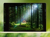 MateBook Pro S, piyasadaki en hafif 14 inçlik dizüstü bilgisayarlardan biridir.