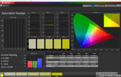 CalMAN Doygunluk kalibre edildi