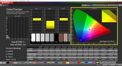 CalMAN ColorChecker (profil: Display P3, hedef renk uzayı: P3)