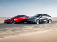 Tesla Model Y ve Model 3.