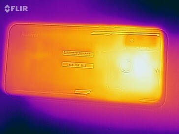 Heat map - back