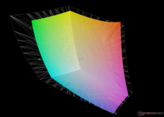 vs. Adobe RGB: %76,5 kapsama alanı