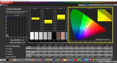CalMAN ColorChecker (profil: kalibre edilmiş, hedef renk uzayı: P3)