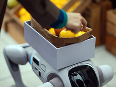 Robot köpeğe dönüşebilen T1 insansı robot
