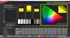 CalMAN ColorChecker (profil: Native, hedef renk uzayı: P3)