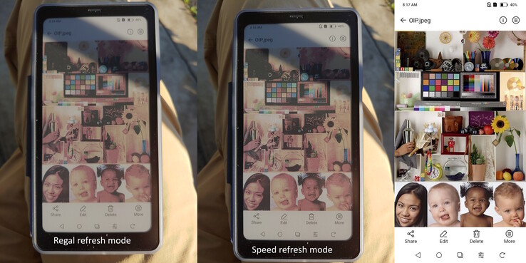 Doğrudan sabah güneş ışığında Regal ve Hız modları.