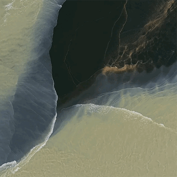 Pixel 11 Pro Fold'un Pine, Tidal Swirl görünümünü gösteren duvar kağıdının erken bir sızıntısı