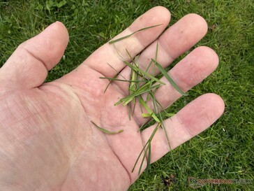 ...reklamı yapılan malçlama işlevinden beklediğimizden daha iyi.