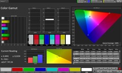 CalMAN sRGB renk uzayı