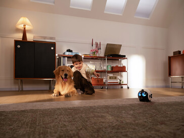 Evcil hayvan arkadaşı 