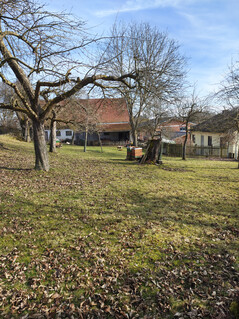 Ana kamera (yakınlaştırma yok)