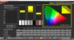 CalMAN ColorChecker (profil: Native, hedef renk uzayı: P3)
