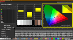 CalMAN Colorchecker Ekran-P3