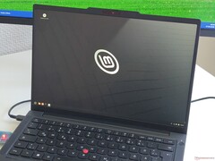 Lenovo ThinkPad T14 Gen 7, Linux Mint çalıştırıyor.