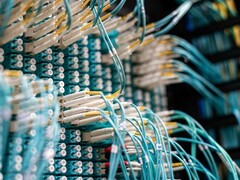Veri merkezindeki bir patch paneline takılı, beyaz konektörlü mavi fiber optik kablolar