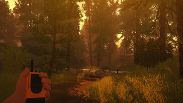 Firewatch'ta bir ormanı gösteren bir görsel.