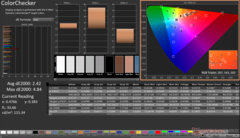 Kalibrasyondan sonra ColorChecker (Ekran P3)