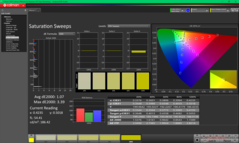 Kalibrasyondan önce Doygunluk Taramaları (sRGB)