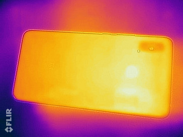 Heat map - back