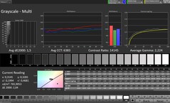 Gri tonlama (profil: Profesyonel, hedef renk uzayı: sRGB)